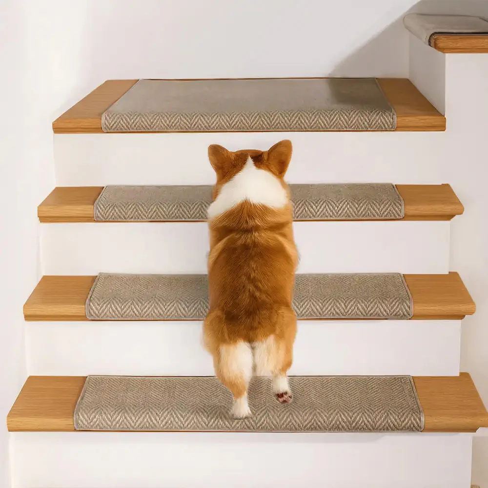 Escaliers pour chiens – Nouveautés